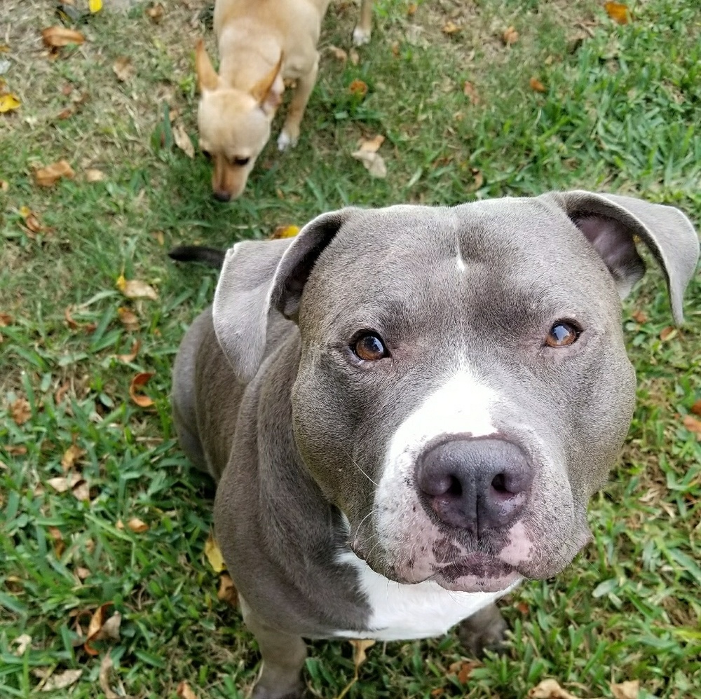 Meet your Posher, Michella